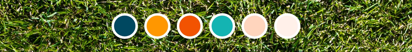 – C&M Lawns