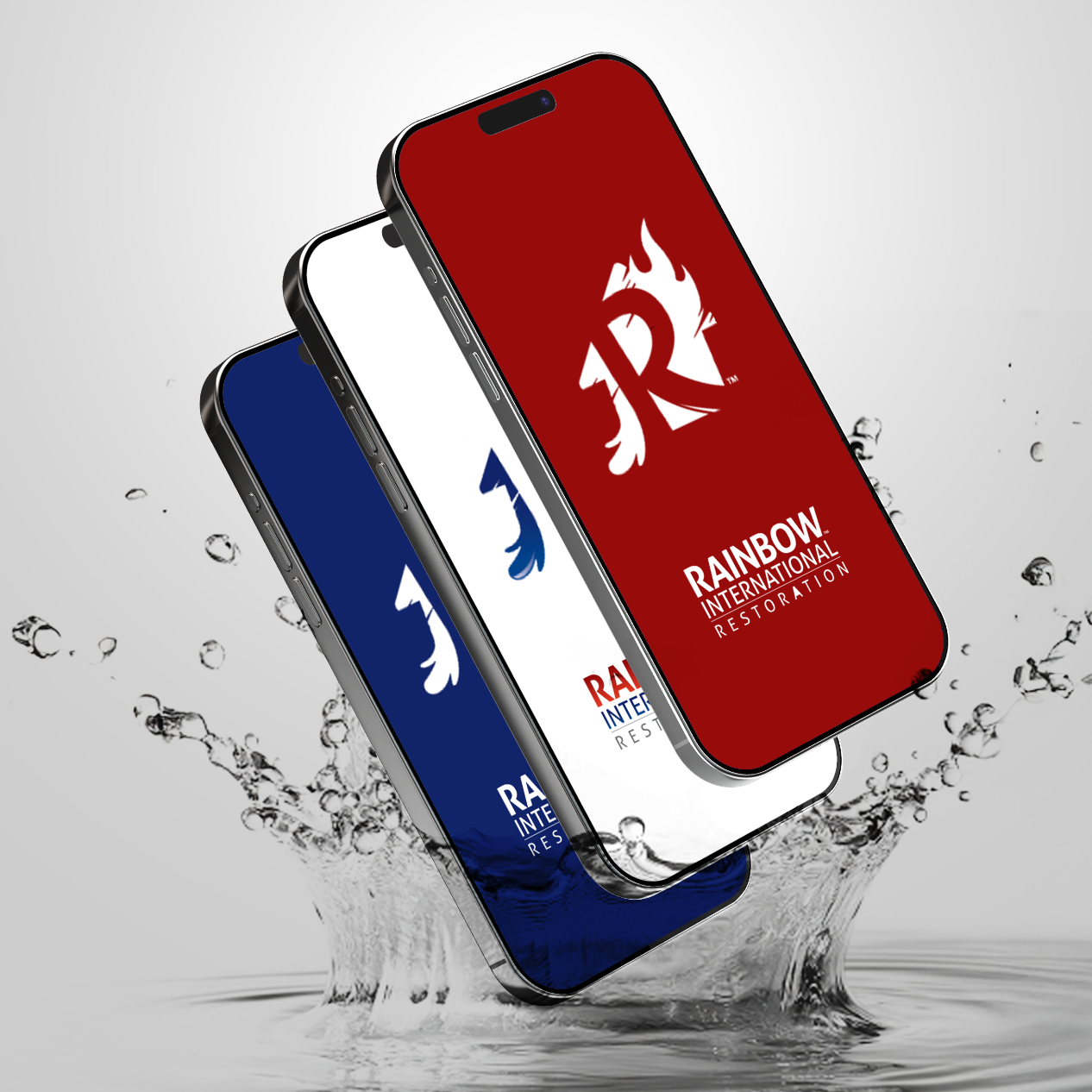 Rainbow International of State College